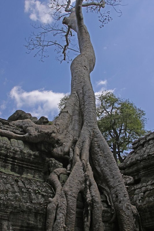 Cambodia 164.jpg