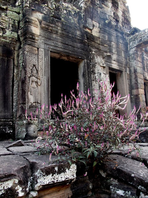 Cambodia2 112.jpg