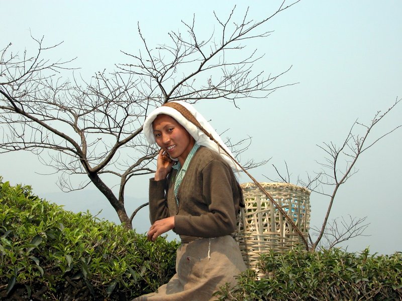 EastIndiaBhutan1 111.jpg