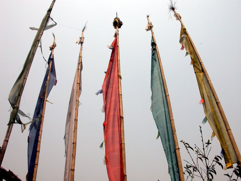 EastIndiaBhutan1 125.jpg