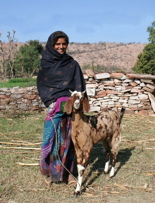 India 258.jpg