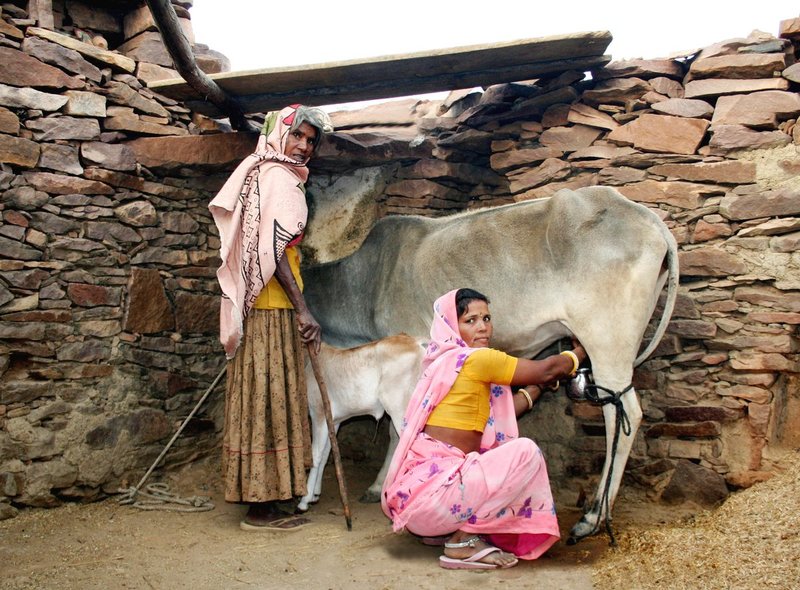 India 578C.jpg