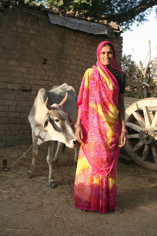 India 778.jpg