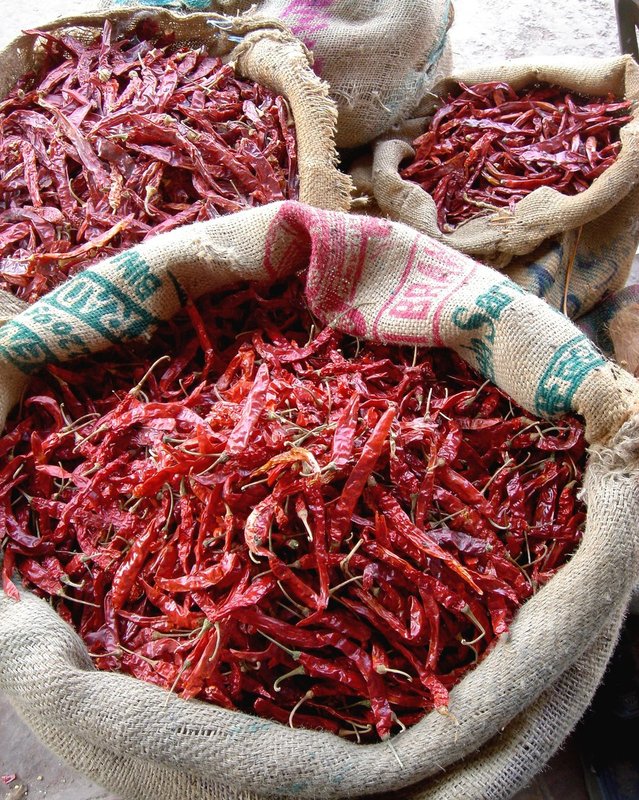 IndiaSony 069.jpg ::                                