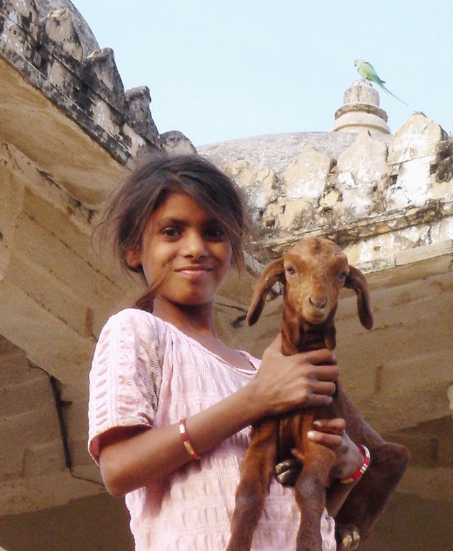 IndiaSony 239C.jpg ::                                
