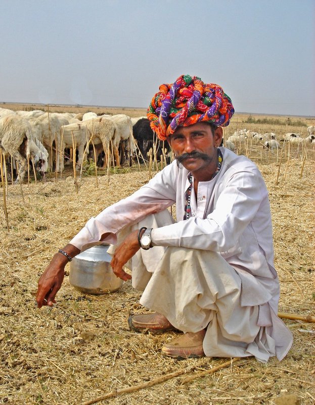 IndiaSony 266C.jpg ::                                