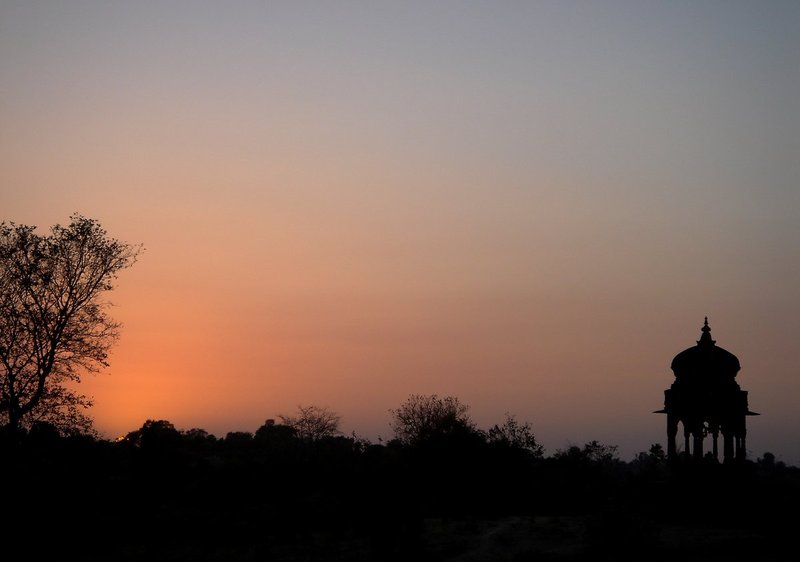 IndiaSony 339.jpg ::                                