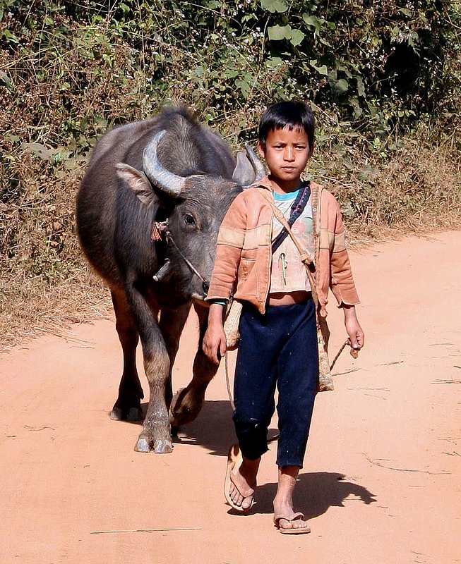 Myanmar(Burma)141C.jpg