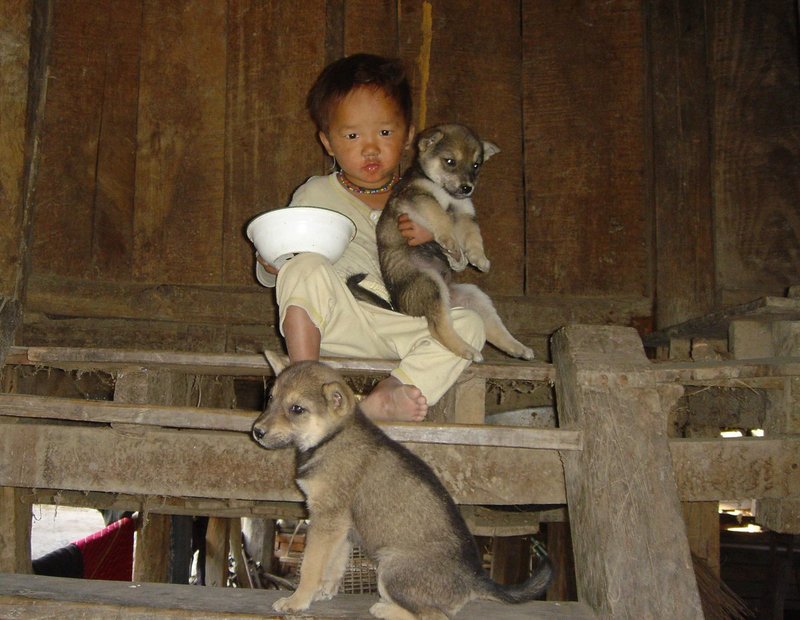 Myanmar(Burma)Sony1 150.jpg ::                                
