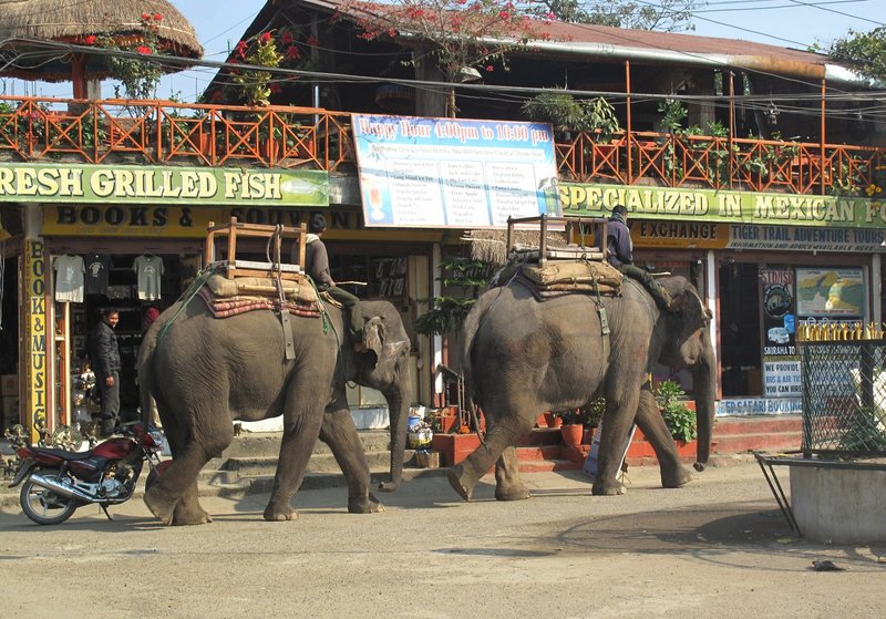 Nepal1 102.jpg :: Nepal