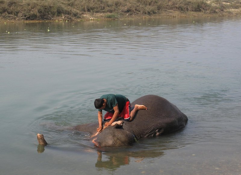 Nepal1 152.jpg :: Nepal