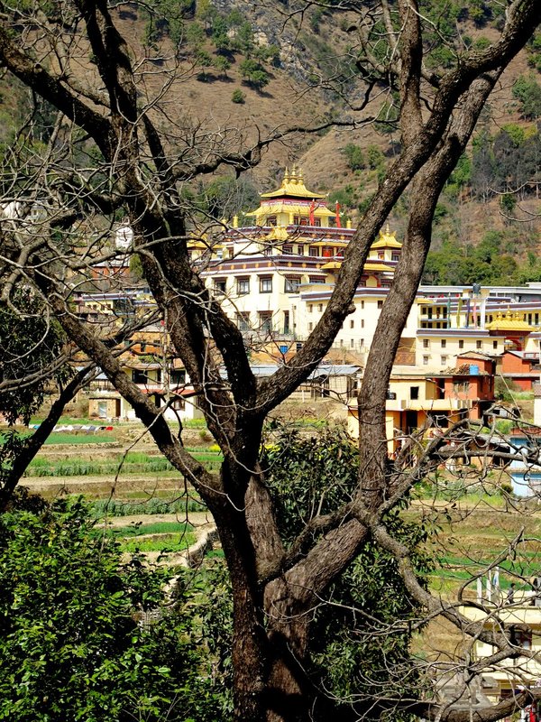 Nepal1 1529.jpg :: Nepal