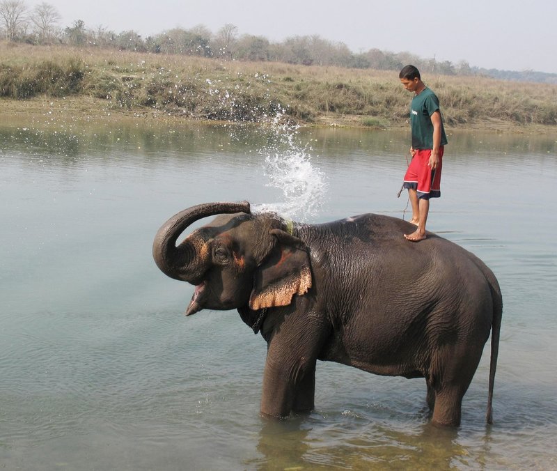 Nepal1 163.jpg :: Nepal