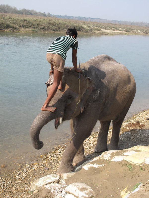 Nepal1 201.jpg :: Nepal