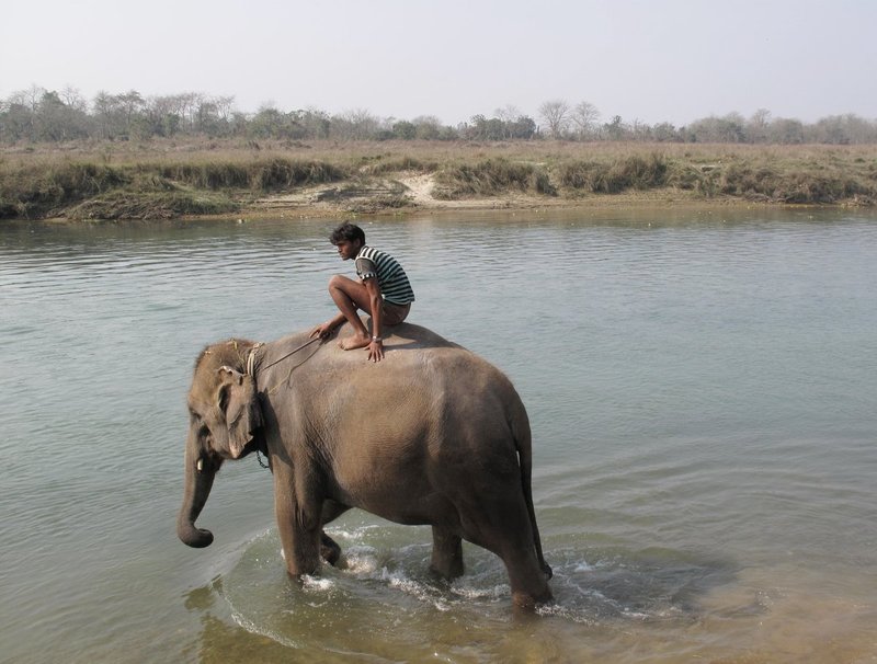 Nepal1 202.jpg :: Nepal
