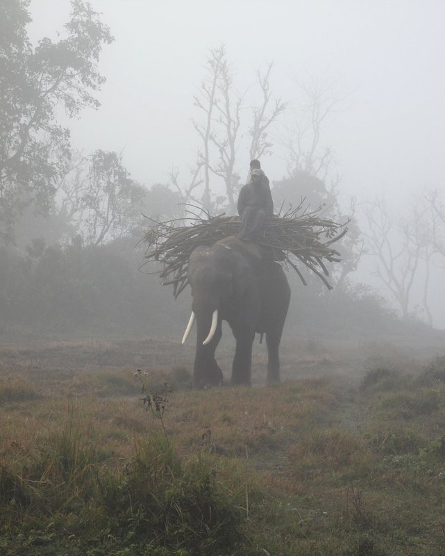 Nepal1 232.jpg :: Nepal