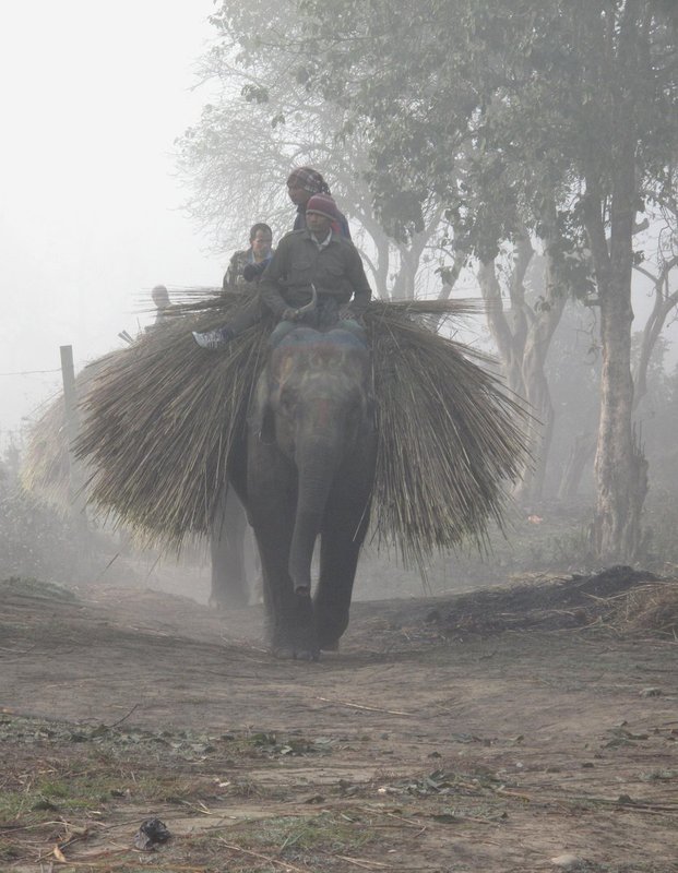 Nepal1 238.jpg :: Nepal