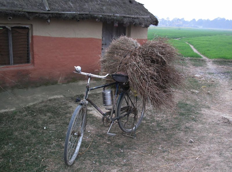Nepal1 431.jpg :: Nepal