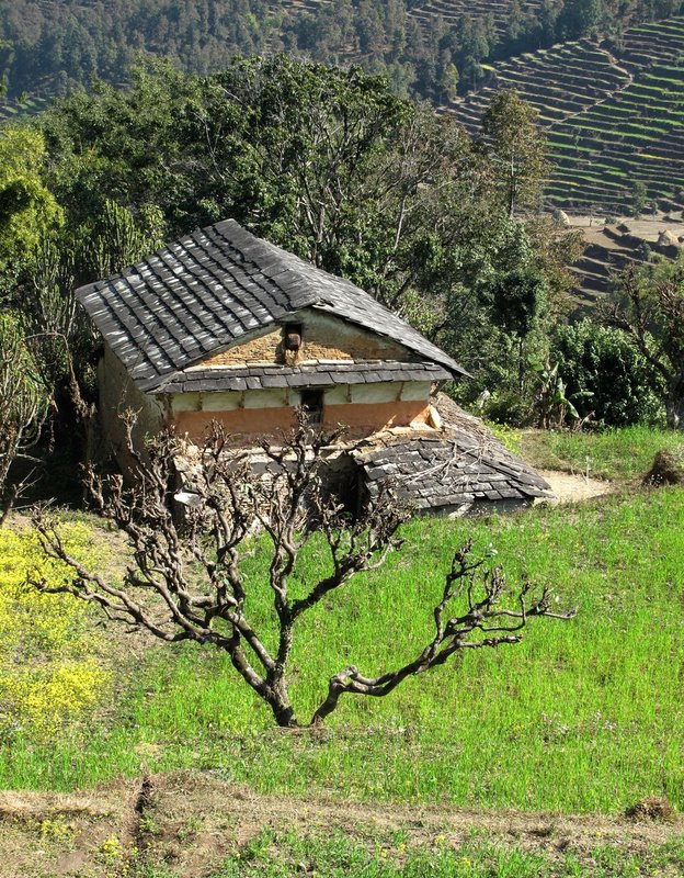 Nepal1 553.jpg :: Nepal