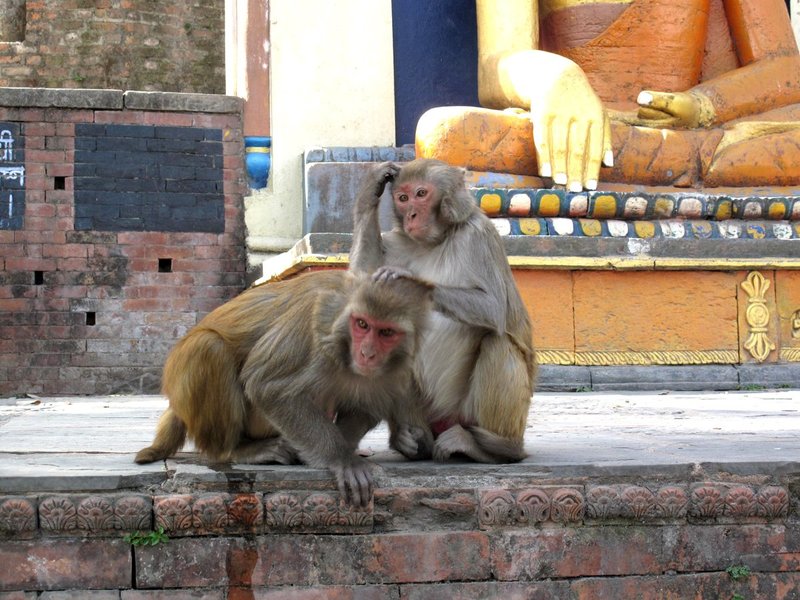 Nepal2 1030.jpg :: Nepal