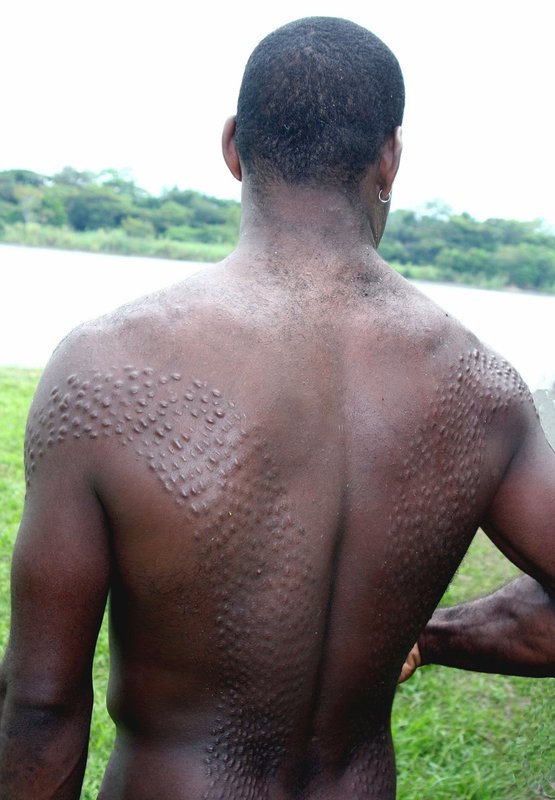 NewGuinea6 001.jpg