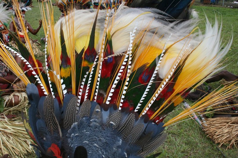 NewGuinea7 230.jpg