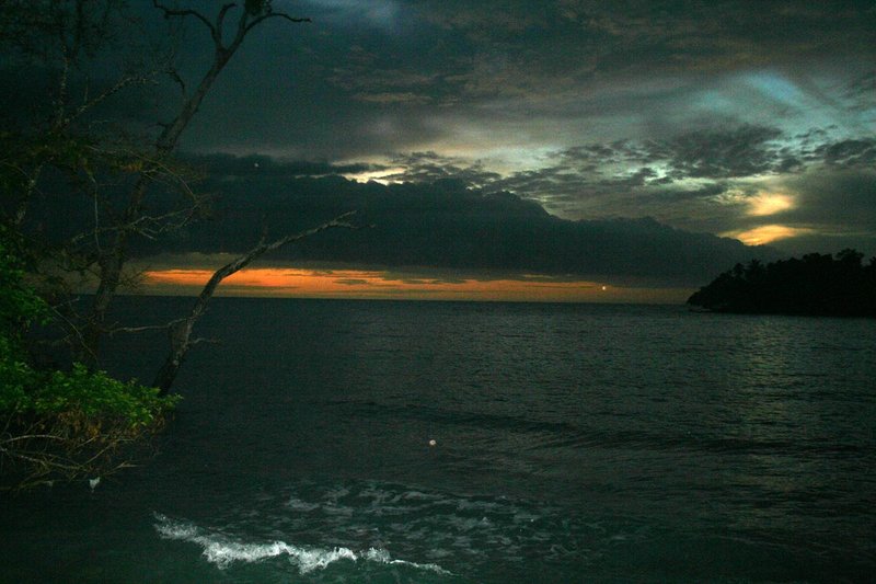 NewGuinea7 304Light1.jpg