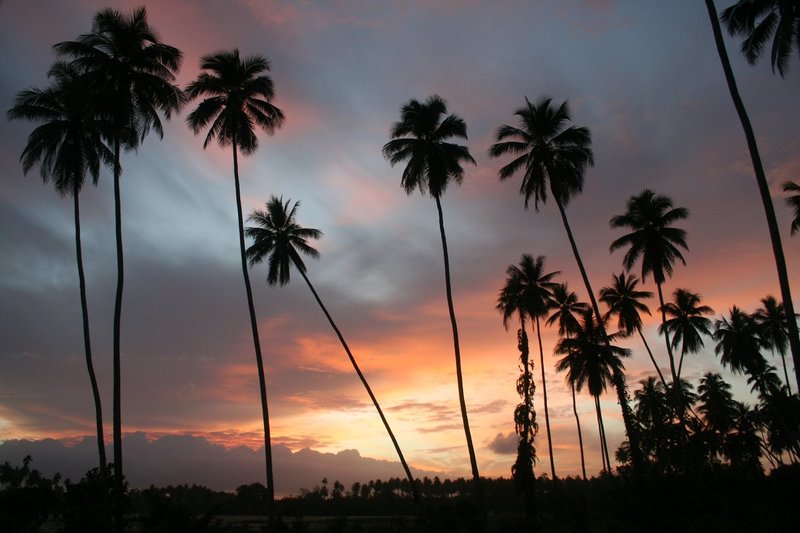 NewGuinea7 3051.jpg