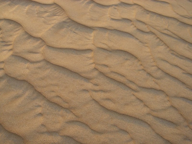 OmanUAESony 086.jpg