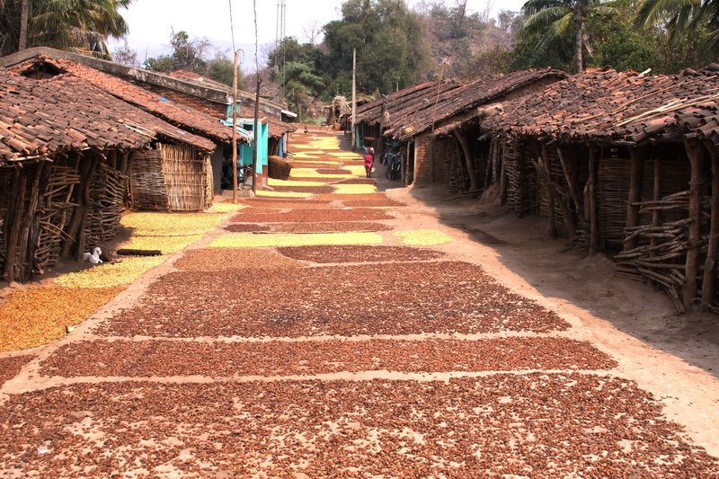 Orissa1 1161.jpg