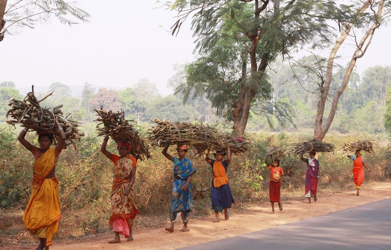 Orissa2 515.jpg