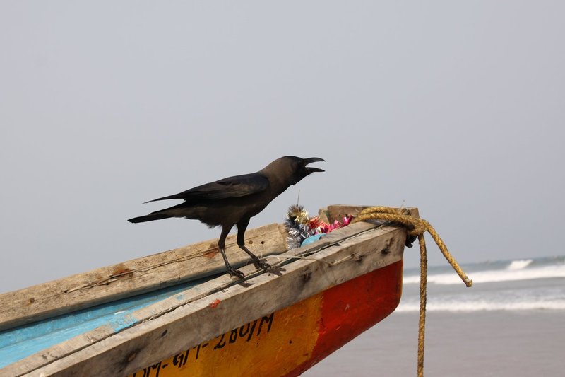 Orissa3 153.jpg