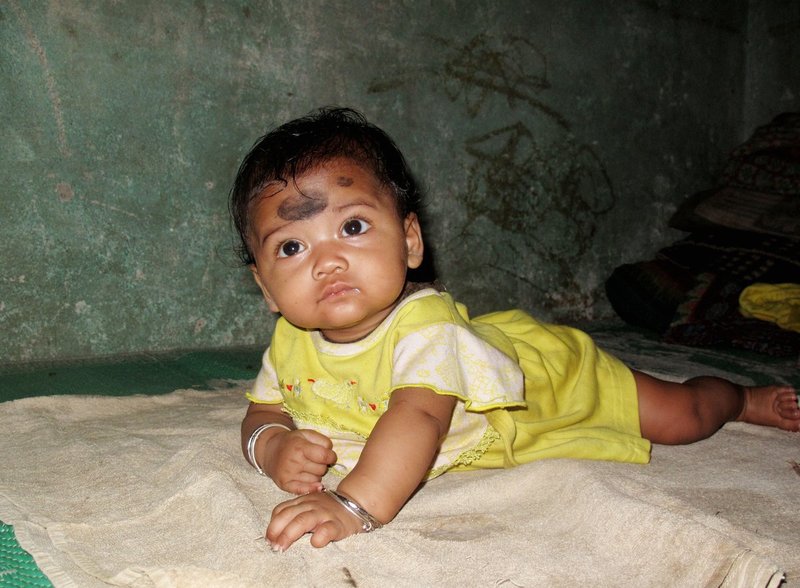 Orissa5Chubs 358.jpg ::                                