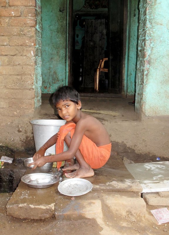 Orissa5Chubs 488.jpg ::                                