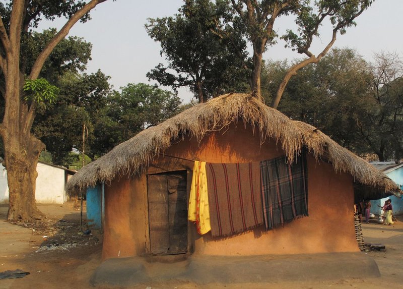 Orissa5Chubs 501.jpg ::                                