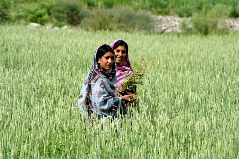 Pakistan3 395.jpg
