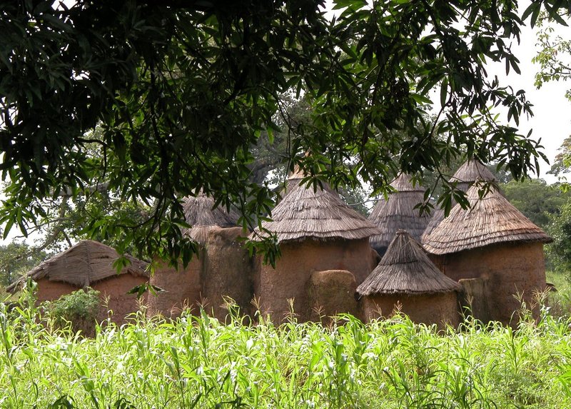 WestAfrica1 275.jpg ::           