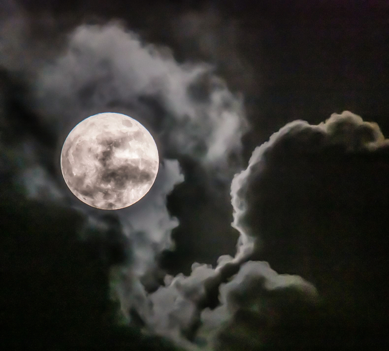 11-2020 Full Moon(1).jpg
