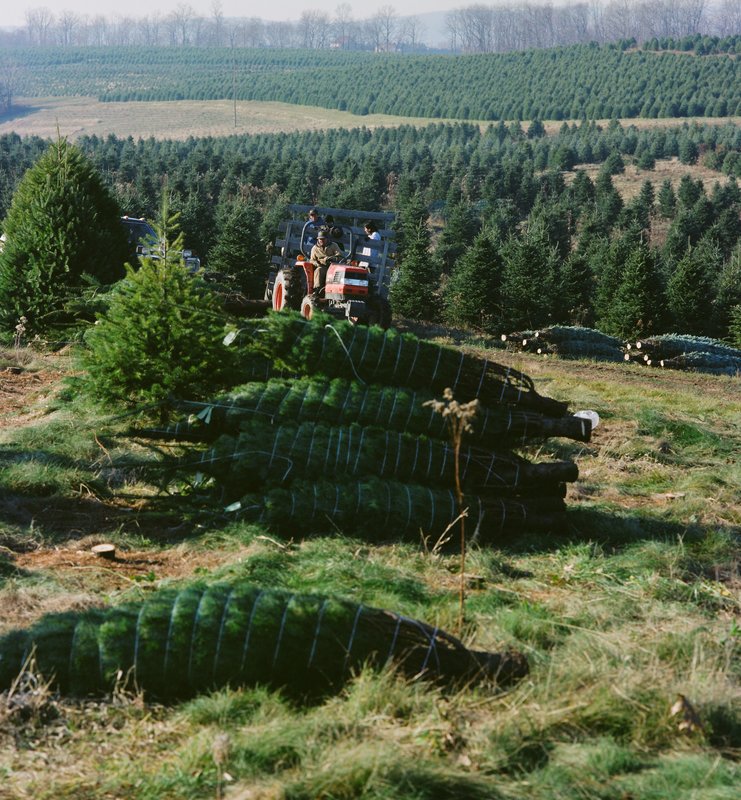 30840005.jpg