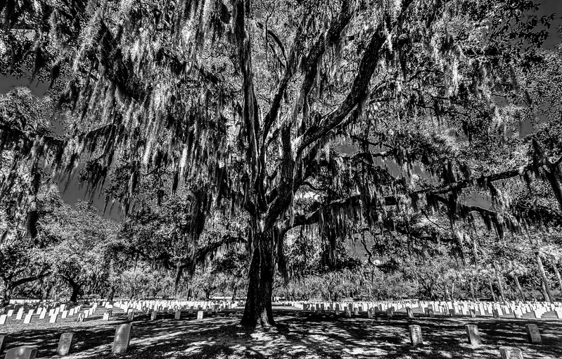 Beaufort Nat Cem(1).jpg
