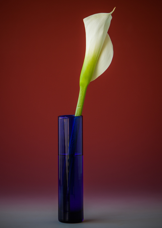 Calla Lilly.jpg
