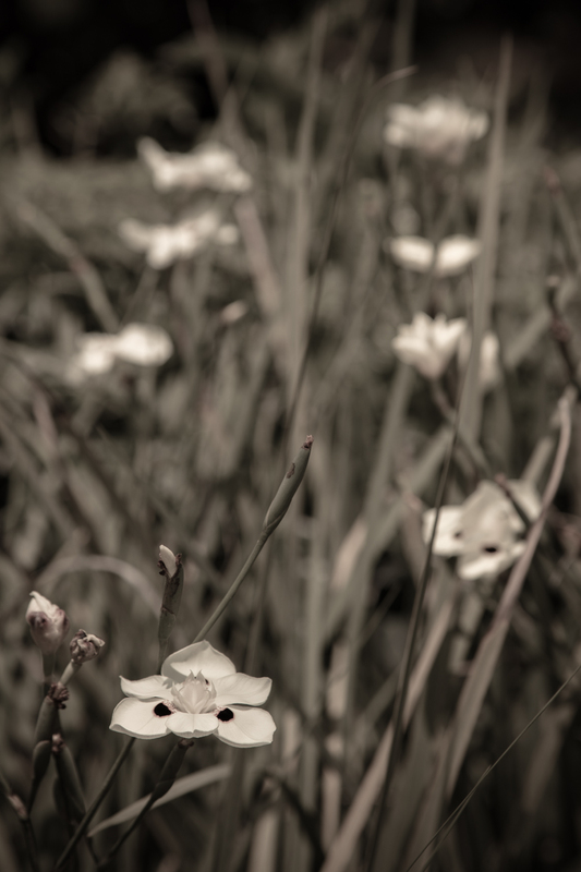 untitled-107.jpg