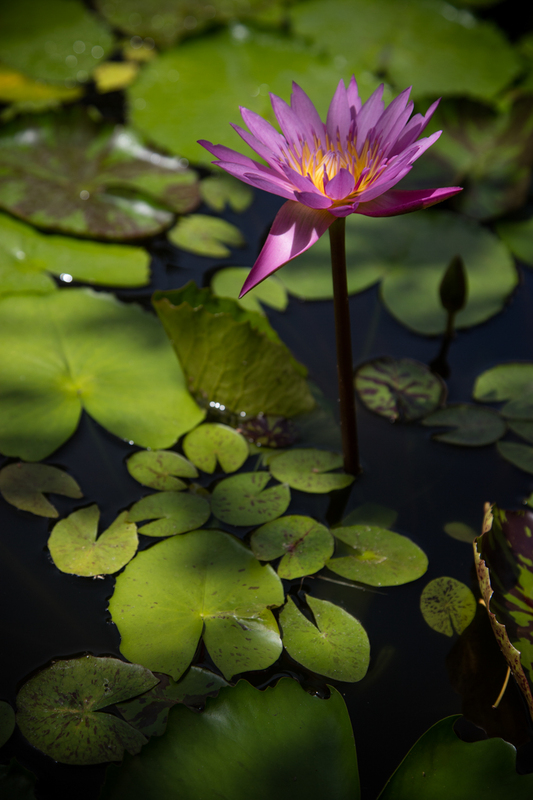untitled-7.jpg
