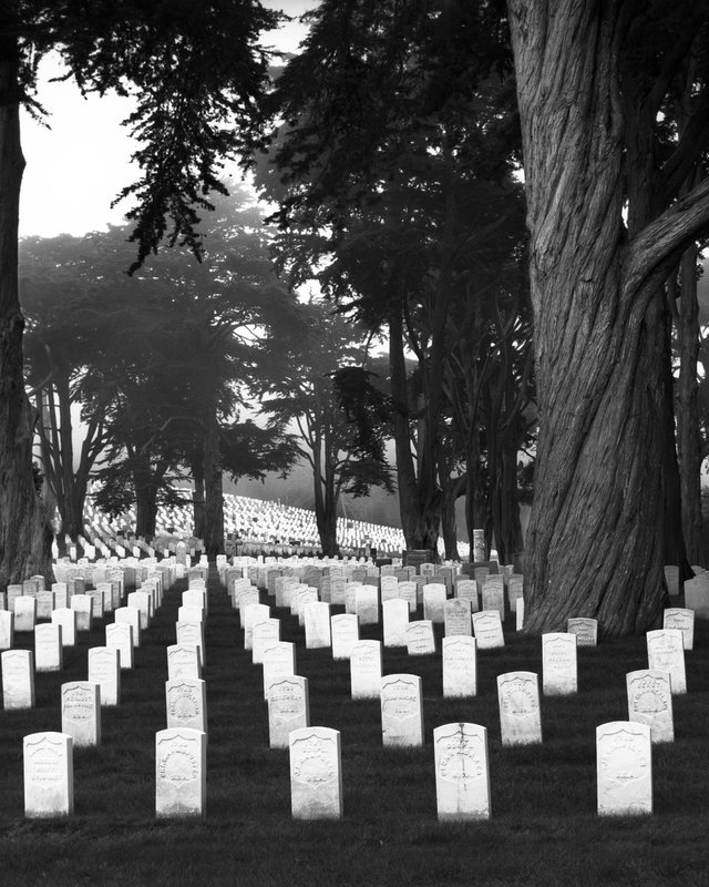 San Francisco -- Ghosts of Freedom -- Rectangle.jpg :: Golden Gate National Cemetery in the San Francisco Presidio. Exposed at 830 AM on May 6, 2009 at the Golden Gate National Cemetery in the San Francisco Presidio.  It was exposed on TMax 100 film through a 10 mm lens behind a red filter.  The lens was set an an aperture of f22 and the shutter speed was 4 seconds. 