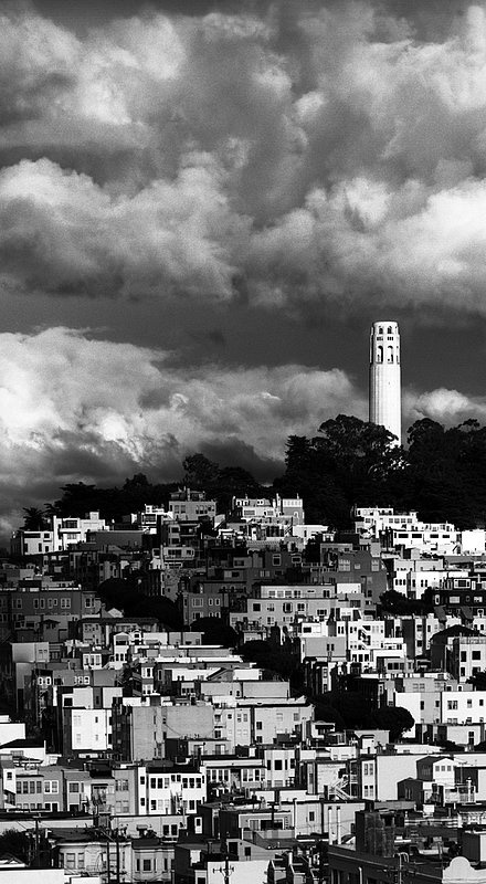 San Francisco--Telegraph Hill Cloud Shadows -- Vertical Panorama.jpg :: Coit Tower on Telegraph Hill.  Exposed 5:15 PM April 7, 2009 through 250 mm lens on Hasselblad 500 CM using TMAX 100 at f11 and 1/4 second with deep red filter. Recommended print size: 20 x 36 inches. The image was made by exposing one frame capturing the bottom half of the image and then rotating the camera up while keeping the lens azimuth unchanged and exposing a second frame capturing the top half of the image. The two halves were then merged digitally to create the \