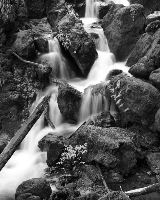Coast - Cataract Falls Detail.jpg :: Detail of Cataract Falls on the Cataract Trail on Mt. Tamalpais.  Exposed at 10:15 AM March 4, 2006 through 100 mm lens on Hasselblad 500 CM using TMAX 100 at f22 and 2 seconds with no filter. This image is a portion of the larger \