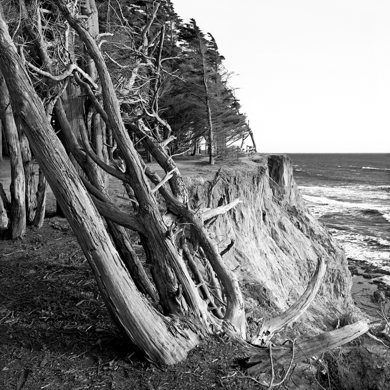 Coast - Montara Point.jpg :: Montara Point near Half Moon Bay on the San Francisco Peninsula.  Exposed at 7:30 PM, April 13, 1986 through a 50 mm lens on Hasselblad 500 CM using Kodak Tri-X at f11 and 1/125 of a second with no filter. Coastal erosion has since washed this old tree into the Pacific.   