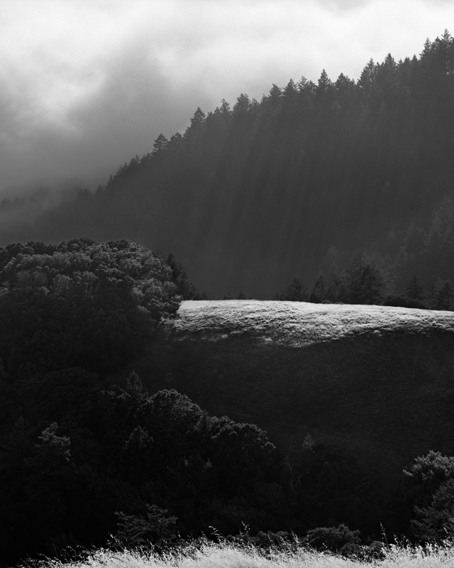 Coast - Ridgelines in the Fog.jpg :: Incoming fog from Ridgecrest Road on western flank of Mt. Tam overlooking Stinson Beach (hidden in the fog).  Exposed at 6:25 PM, August 23, 2009 through a 100 mm lens on Hasselblad 500 CM using TMax 100 at f/22 and 1 second with yellow filter.    