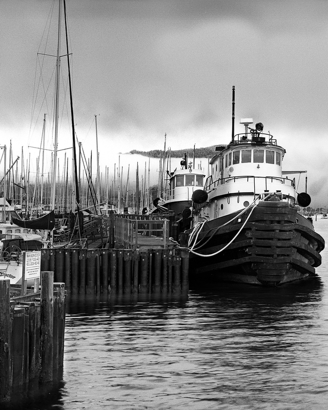 Coast -- Morning Fog E-Dock.jpg :: E Dock in the Sausalito Marina.  Exposed at 7:00 AM,  August 7, 2009 through 150 mm lens on Hasselblad 500 CM using TMAX 400 at f22 and 1/2 second with yellow filter.   
