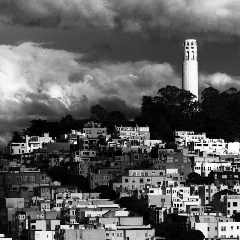 San Francisco - Telegraph Hill Cloud Shadows.jpg :: Coit Tower and the top of Telegraph Hill.  Exposed at 5:15 PM on April 7, 2009 through a 250 mm lens on Hasselblad 500 CM using TMAX 100 at f11 and 1/4 of a second with a deep red filter. This image is a portion of the larger \